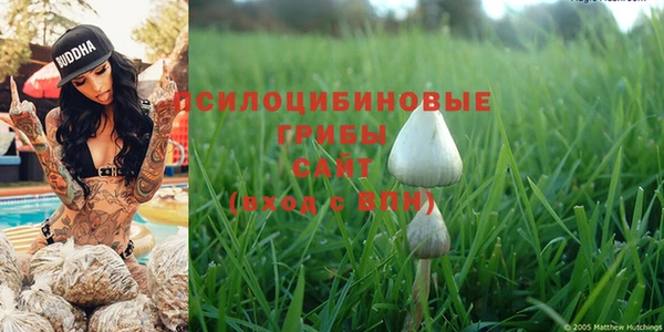 гидропоника Магас